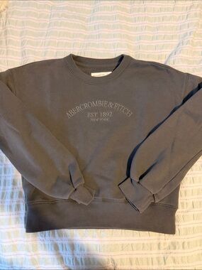Abercrombie kids Gray Crewneck Sweatshirt